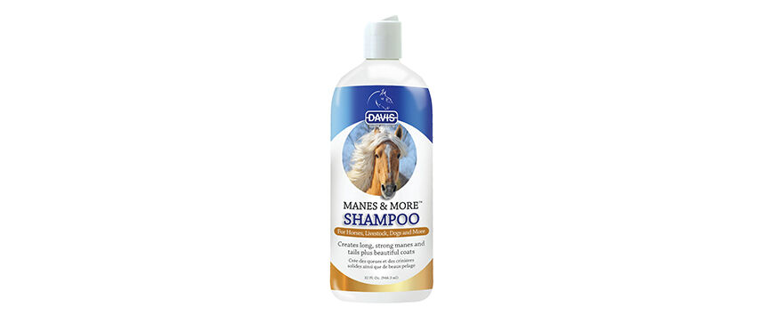 Hair Care